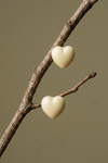 Pearl Button Earrings EARRING ATTIR-WOMEN