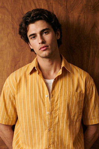 Basic Collar Shirt in Yellow Stripe