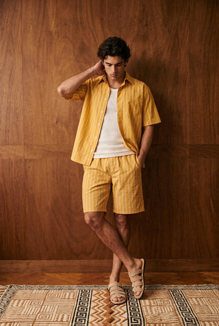 Basic Collar Shirt in Yellow Stripe