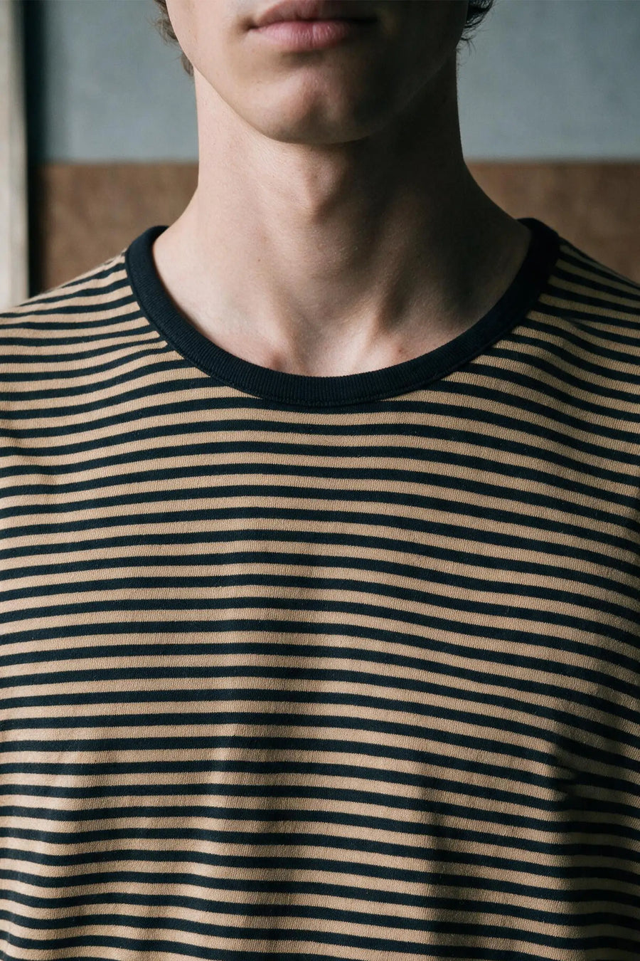 Long Sleeves Striped T-shirt /  BLACK & BROWN