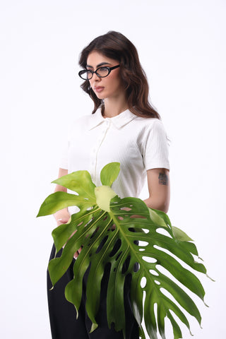 Shirt-detail Top in Ivory