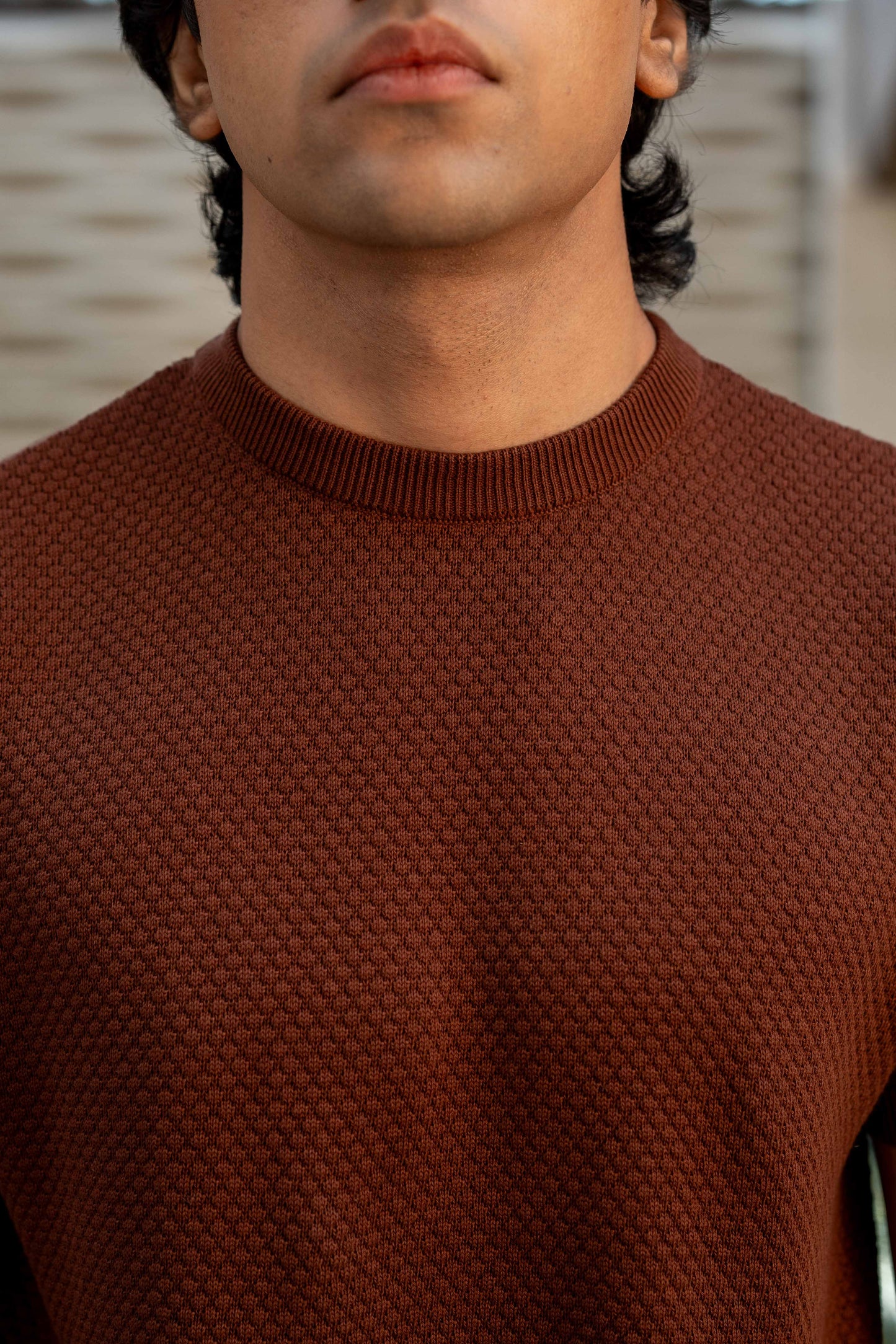 Popcorn-Knit Crew Neck in Burnt Brown