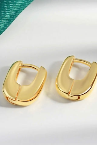 Hoop Earrings
