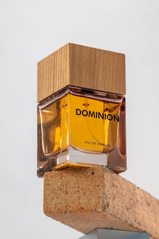 DOMINION EDP 100ML - AttirFRAGRANCE