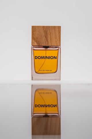DOMINION EDP 100ML - AttirFRAGRANCE