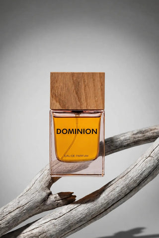 DOMINION EDP 100ML - FOR HIM FRAGRANCE ATTIR-MEN