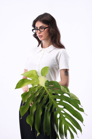 Shirt - detail Top in Ivory - AttirTOP
