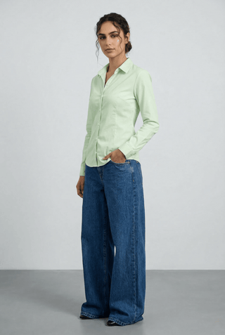 Smart - fit Button Down in Pistachio - AttirSHIRT